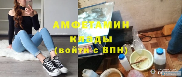 молекула духа Арсеньев