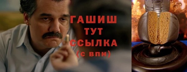 молекула духа Арсеньев