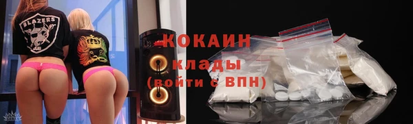 молекула духа Арсеньев