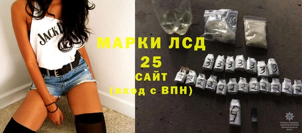 молекула духа Арсеньев