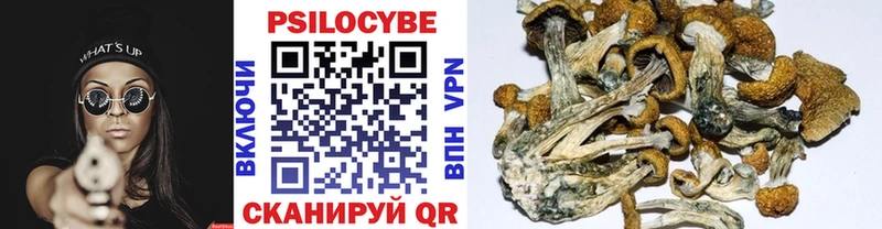 Псилоцибиновые грибы Magic Shrooms  Давлеканово 